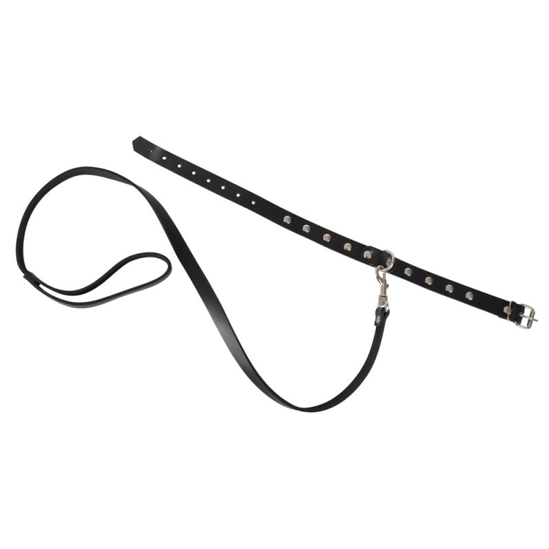 mit Nieten und D-Ring mit Nieten und D-Ring